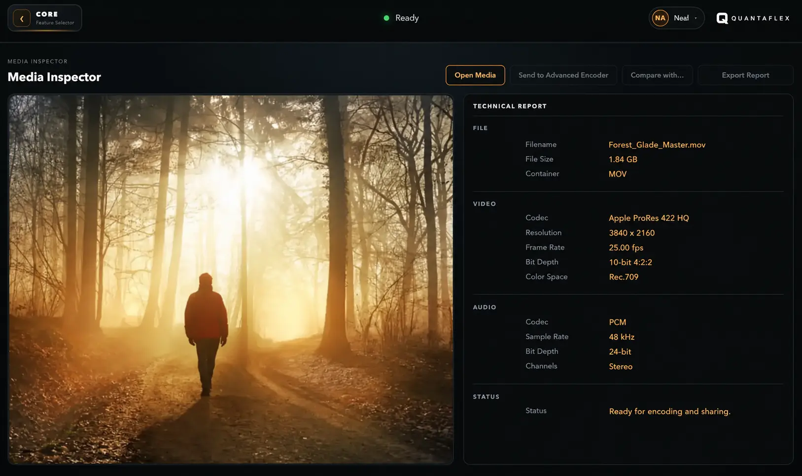 Quantaflex Media Inspector showing a forest video and its technical report